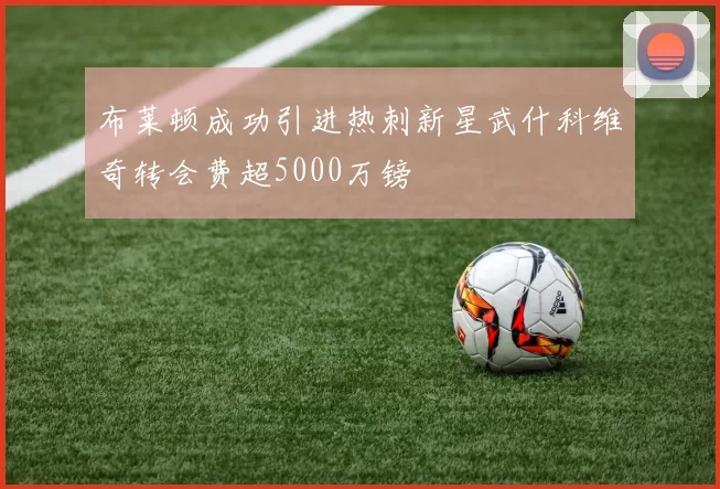 布莱顿成功引进热刺新星武什科维奇转会费超5000万镑